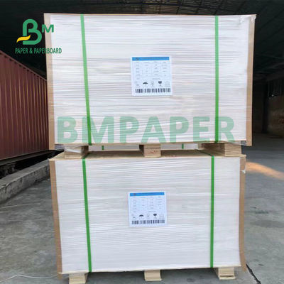 230 g / m2 280 g / m2 Super absorbująca podkładka pod wodę 615 mm x 860 mm naturalna biel
