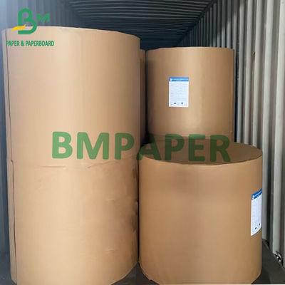 Papier dokumentowy 55 g/m² 70 g/m² 75 g/m² Niepowlekany papier bezdrzewny 66 cm X 100 cm / 96 cm / 106 cm / 120 cm