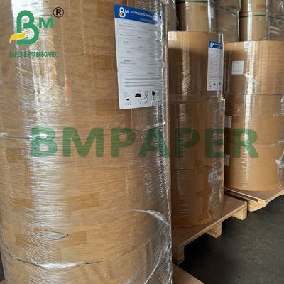 21 - 28gsm 440mm Bezpieczny dla żywności Kompostowalny Brązowy Papier do Filtrowania Kawy w Rolce