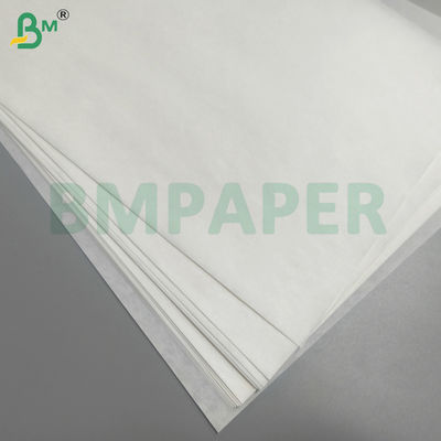 Papierowy worek ochronny dla owoców i warzyw wodoodporny, z dala od szkodników i ptaków