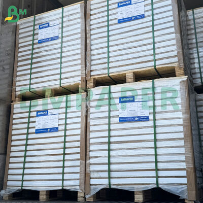 Role papieru do druku artystycznego C2S błyszczącego dwustronnie 210gsm 31*43 cale