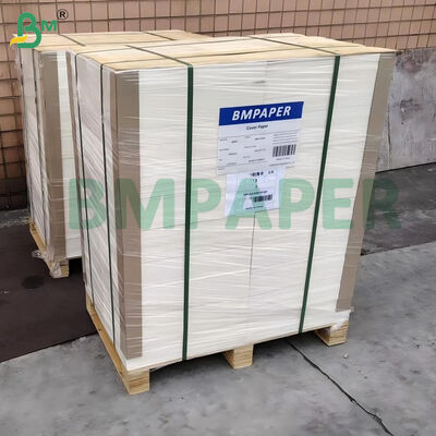 100 funtów 270 gramów biała, niepowleczona, gładka tablica bristolowa 22" x 30"