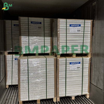 20 g papieru Cebolla Tortilla Separator Paper Non Stick 12' x 12'
