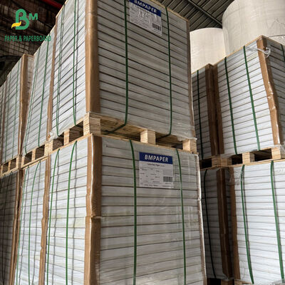 Papier cyfrowy NCR do kopiowania z czarnym tuszem 55 g/m² 60 g/m² 65 g/m² CB CFB CF 57 cm x 87 cm