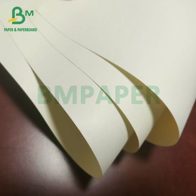 Kremowy, niepowlekany papier książkowy o gramaturze 70 g/m2 i gramaturze 80 g/m2 Bezdrzewny papier drukarski w kolorze kości słoniowej