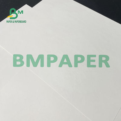Rolka papieru o gramaturze 100 g / m2 i gramaturze 120 g / m2 w kolorze białym do kubka stożkowego