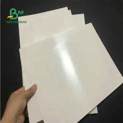 Papier spożywczy 260 + 15 powlekany PE Papier biały na filiżankę kawy