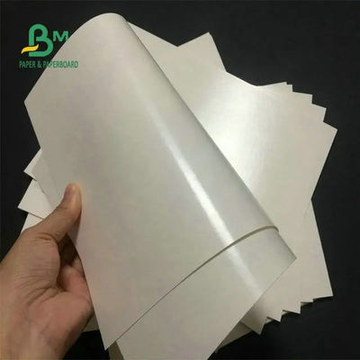 Papier spożywczy 260 + 15 powlekany PE Papier biały na filiżankę kawy