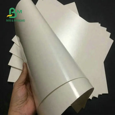 Papier spożywczy 260 + 15 powlekany PE Papier biały na filiżankę kawy