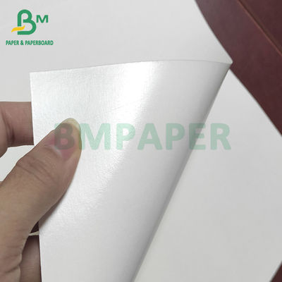 OEM ODM White Cup Papierowa tektura powlekana PE do kubka papierowego Miska papierowa
