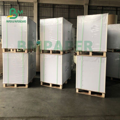 Papierowa tektura do kubków spożywczych do miski z makaronem 700 mm x 1000 mm
