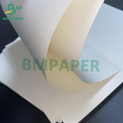 15g PE powlekany 1 kubek boczny Papierowa tektura do kubka z gorącym napojem Kubek z zimnym napojem