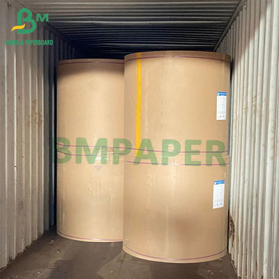 Virgin Pulp Dryer Biały niepowlekany papier do utrzymywania świeżości 230 g / m2 250 g / m2 300 g / m2 330 g / m2