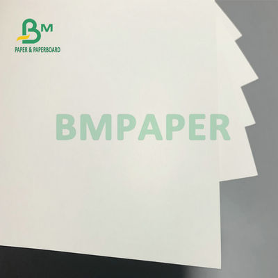 Biała rolka papieru do zamrażania o wysokiej zawartości pulpy, papier FBB Board 210g 250g do pakowania ciast