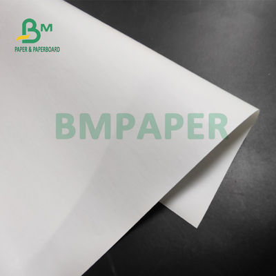 Papier termiczny Jumbo Roll o gramaturze 55 g / m2 do drukarek POS 565 mm x 6000 m