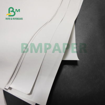 Papier termiczny Jumbo Roll o gramaturze 55 g / m2 do drukarek POS 565 mm x 6000 m