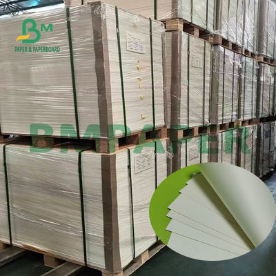 Naturalna biała tektura papierowa o gramaturze 180 g Jednostronnie gładka powierzchnia powlekana PE