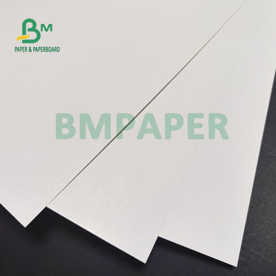 170 g / m2 190 g / m2 C1S Kość słoniowa SBS Papierowa tektura do zawieszek odzieżowych 30 x 40 cali Wysoka biel