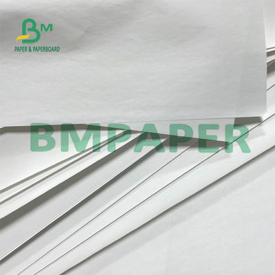 Back Print Rolki papieru termicznego bez BPA 48 g na mały bilet