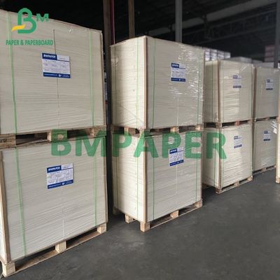 Karton CCKB o dużej masie z białym wierzchem Kraft Back 250G 270G 300G