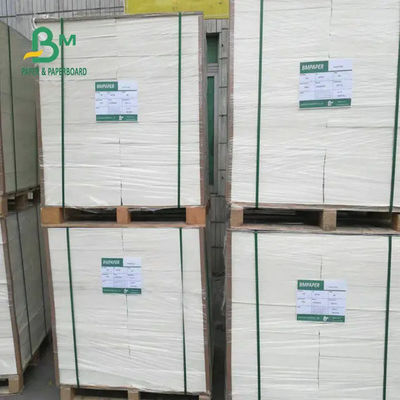 Kubek termoizolacyjny Papierowa tektura Wodoodporna 1200 mm 190 g / m2 210 g / m2 240 g / m2