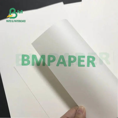 Białe rolki papieru kubkowego 230g 250g 270g + 15g 20g PE laminowane jednostronnie