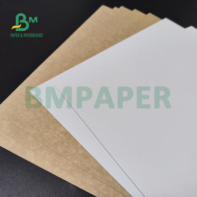 250 g / m2 300 g / m2 C1S Kraft Back Coated Duplex Board do pojemnika na sałatkę Bezpieczny dla żywności