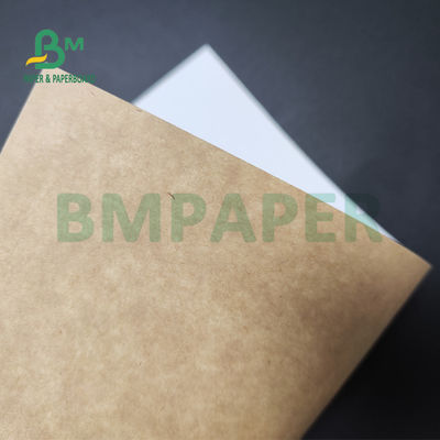 250 g / m2 300 g / m2 C1S Kraft Back Coated Duplex Board do pojemnika na sałatkę Bezpieczny dla żywności