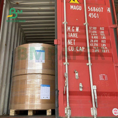 250 g / m2 300 g / m2 C1S Kraft Back Coated Duplex Board do pojemnika na sałatkę Bezpieczny dla żywności