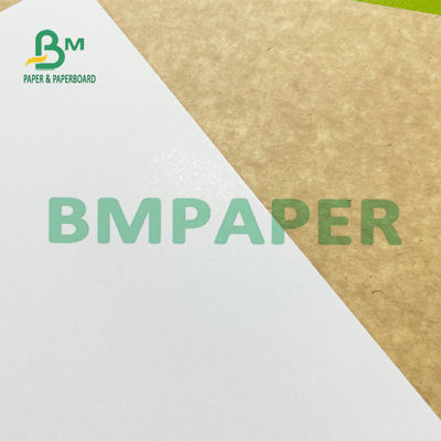 Biała powlekana rolka papieru Kraft Back Freezer 200g 300g do opakowań zbiorczych mrożonej żywności