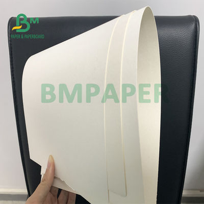 230 g / m2 280 g / m2 Super absorbująca podkładka pod wodę 615 mm x 860 mm naturalna biel