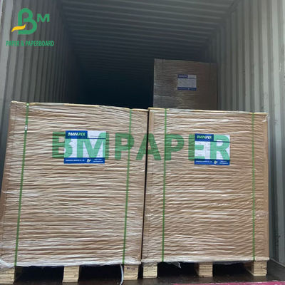 Papier dokumentowy 70 g / m2 do zeszytów A1 Rozmiar 594 mm × 841 mm Biały arkusz Papel