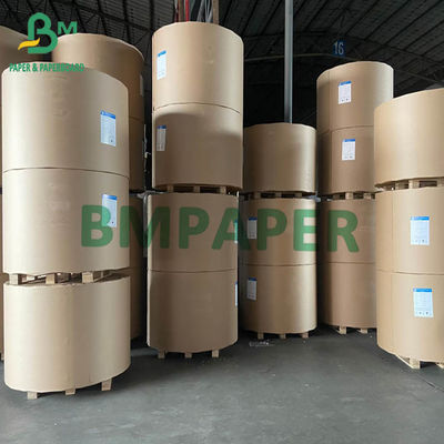 FBB SBS Deska z kości słoniowej 200gsm do 400gsm 750mm 900mm Jumbo Rolls