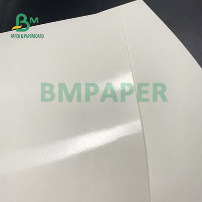 Papier o gramaturze 135 g / m2 + 10 g / m2 powlekany PE, błyszczący i matowy