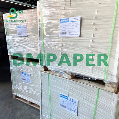 240 250 GSM Polycoated Cupstock Papierowa tektura do tacek na suchą żywność