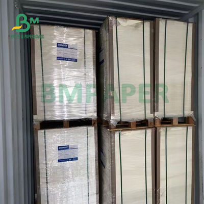 230 g / m2 + 15 g / m2 Trwałość Papier powlekany PE do miski na zupę 560 mm x 700 mm