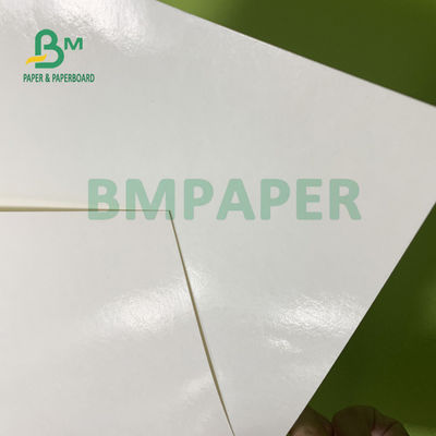 230 g / m2 + 15 g / m2 Trwałość Papier powlekany PE do miski na zupę 560 mm x 700 mm