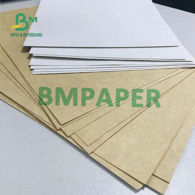 300g 325g 360g Karton biały / Kraft Food Grade Coated 1 Side
