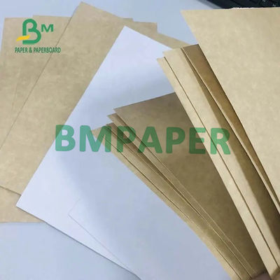 300g 325g 360g Karton biały / Kraft Food Grade Coated 1 Side