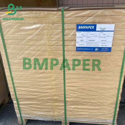 Papier dokumentowy 55 g/m² 70 g/m² 75 g/m² Niepowlekany papier bezdrzewny 66 cm X 100 cm / 96 cm / 106 cm / 120 cm