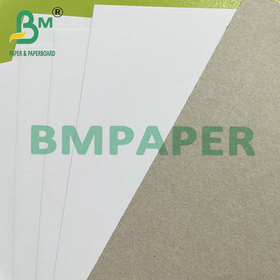 300GSM 400GSM Coated Duplex Board Biały papier z recyklingu z szarym tyłem do akt