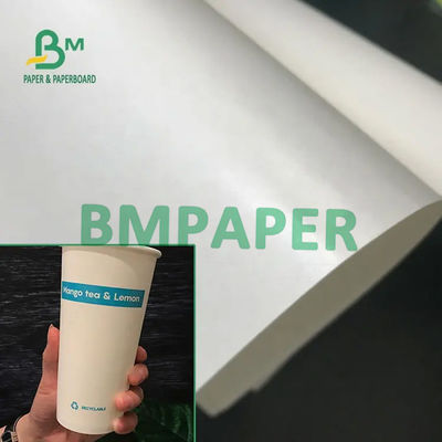 Food Grade 210/230g + 15g Powlekane poliamidem białe rolki papieru papierowego do kubka Papierowa miska papierowa