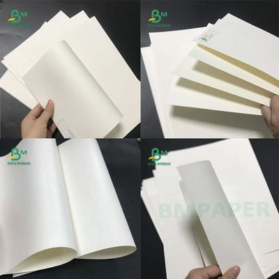 Food Grade 210/230g + 15g Powlekane poliamidem białe rolki papieru papierowego do kubka Papierowa miska papierowa