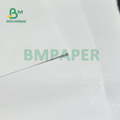 55 gm 60 gm Jumbo Roll Thermal Receipt Paper For POS ATM Bank 405 mm 795 mm