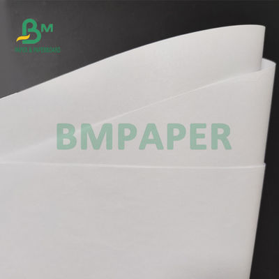 70 gm 80 gm Niepowlekany papier z czystą teksturą do podręczników Druk offsetowy 890 mm
