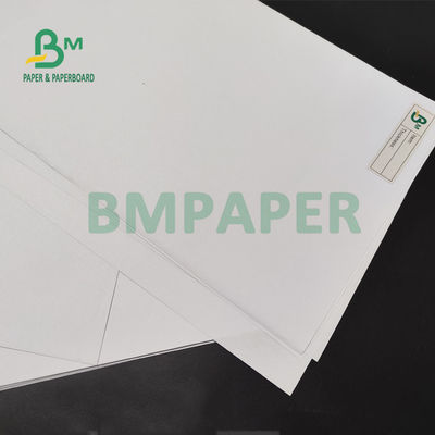 70 gm 80 gm Niepowlekany papier z czystą teksturą do podręczników Druk offsetowy 890 mm