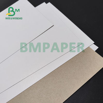 350 gm Papel dupleks powlekany gliną do pudełka do ciastek Twardość 70 x 100 cm