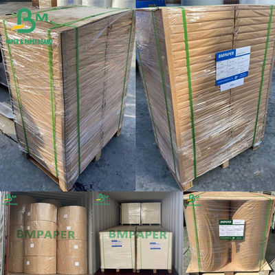 Papier Blotter Papier Błyszczący biały 0,4 mm 0,5 mm 0,6 mm 430 x 610 mm 500 arkuszy