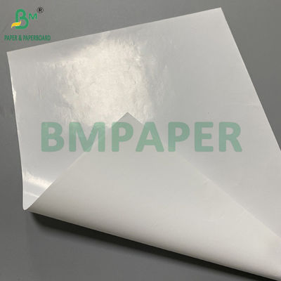70 g 80 g C1S Białka błyszcząca do wytwarzania etykiet Szerokość cewki 1020 mm