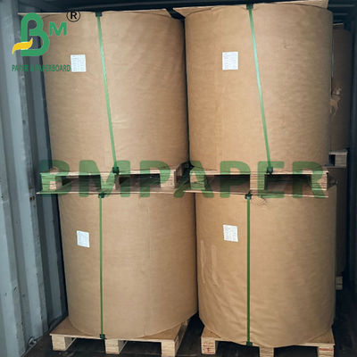 56gm Wodoszczelny Brązowy Papier Mango Bag Do Ochrony Owoców UV Grow